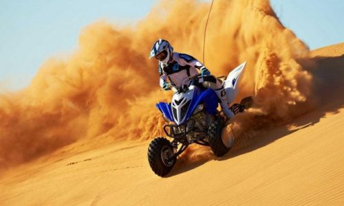 large_53c7e69c-13f4-4791-97d5-5d3c568ff1e4-pdp3fm2bxuzz38o70qgnu0fmzszhb1unpfbvkgx7z4